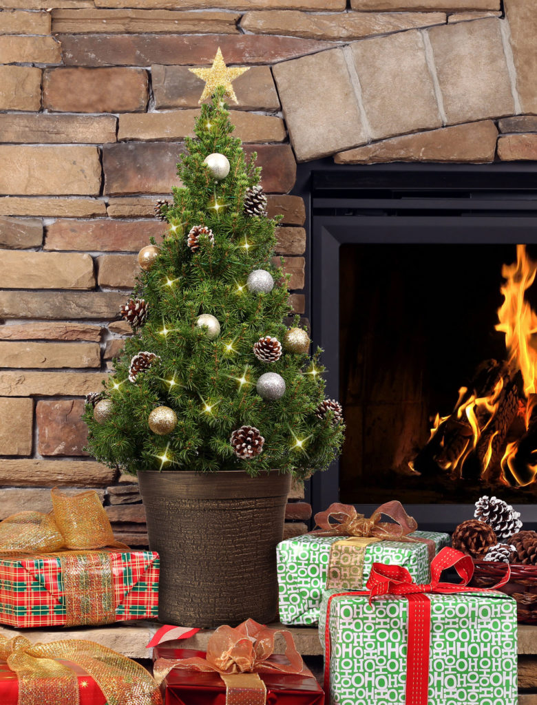 Vianočný stromček nesmieme dávať k zdroju tepla, hoci to vyzerá pekne.