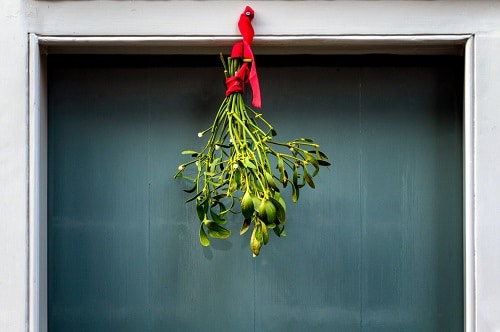 Zelené imelo zavesené červenou stužkou na zárubni dverí, ktoré je vianočnou zvyklosťou.