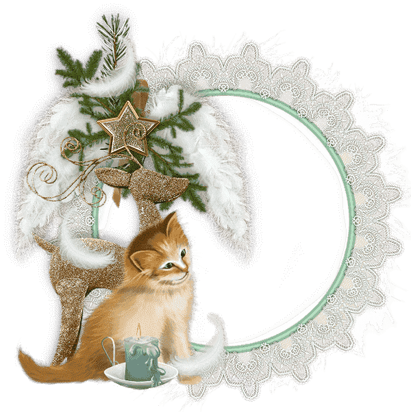 Vianočný rámček s čipkou a mačiatkom