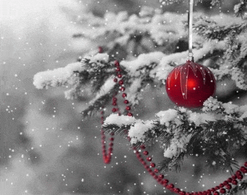 Červená vianočná ozdoba na zasneženom stromčeku, padajúce vločky.