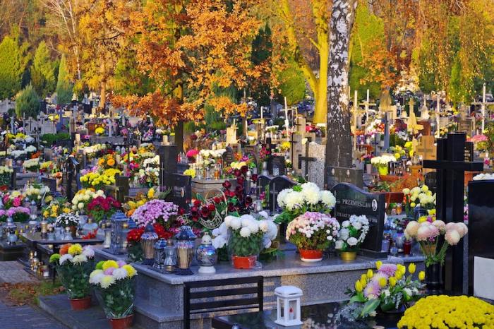 Cintorín s kvetmi na hroboch.