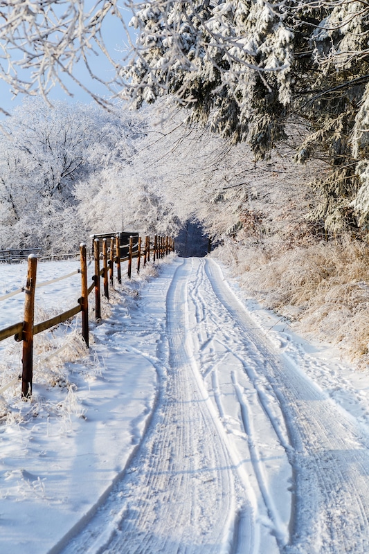Zimný výjav na koľaje vyjazdené v snehu na ceste, vedúcej okolo plotu.