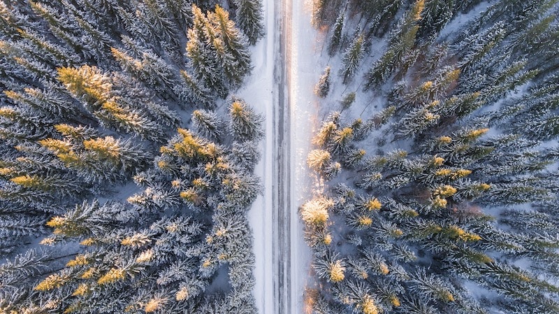 Cesta vedie zasneženou tundrou, jeden strom vedľa druhého.