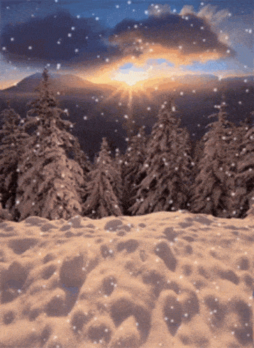 Krásna zimná krajina v zapadajúcom slnku, snehové vločky padajú z neba.