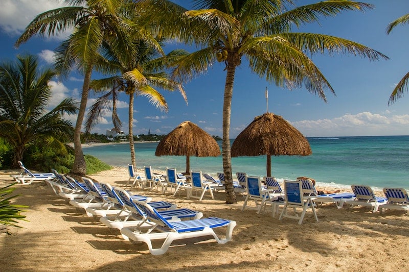 Karibská pláž pod ikonickými palmami, mnoho ležadiel, slnečníky a nekonečné more.