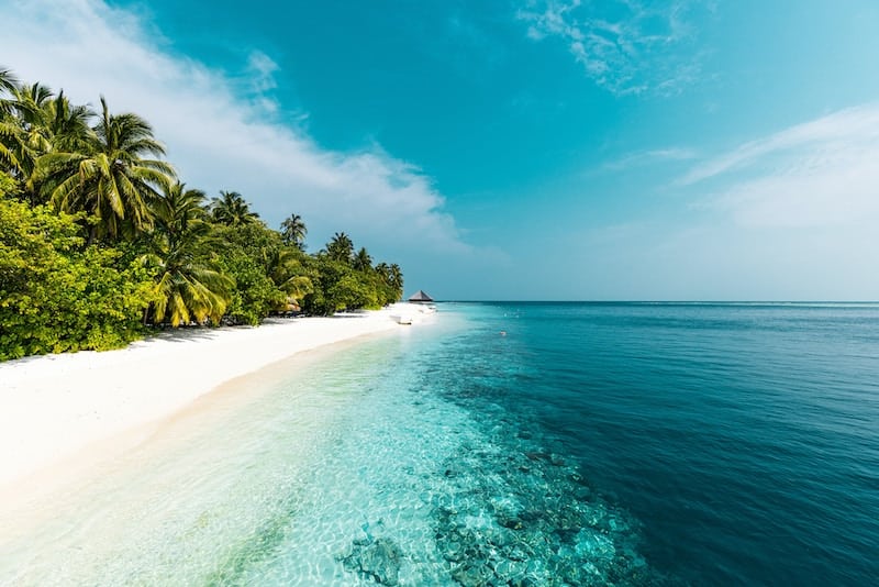 Nádherné azúrové more na Maledivách a snehovo biela pláž, ktorú lemujú vyrastené palmy.