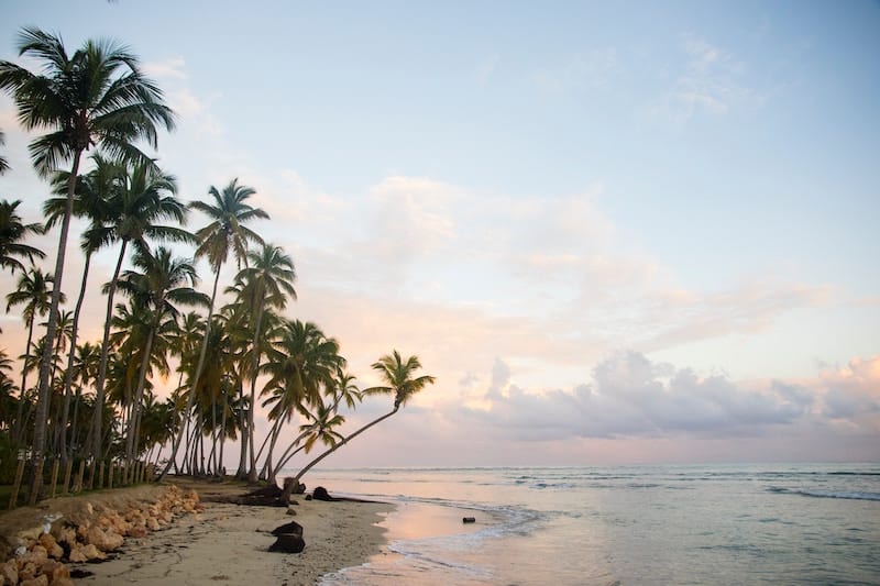Pláže v Dominikánskej republike s typickým výjavom paliem.